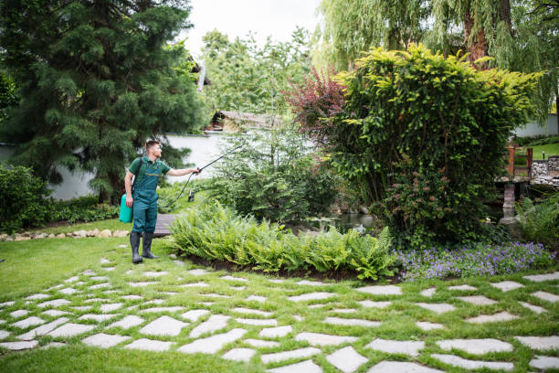 Best Wasp Removal Services  in Quincy, WA