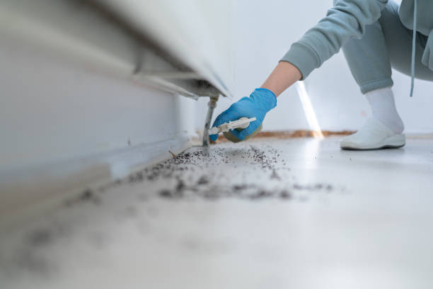 Best Commercial Pest Control Services  in Quincy, WA